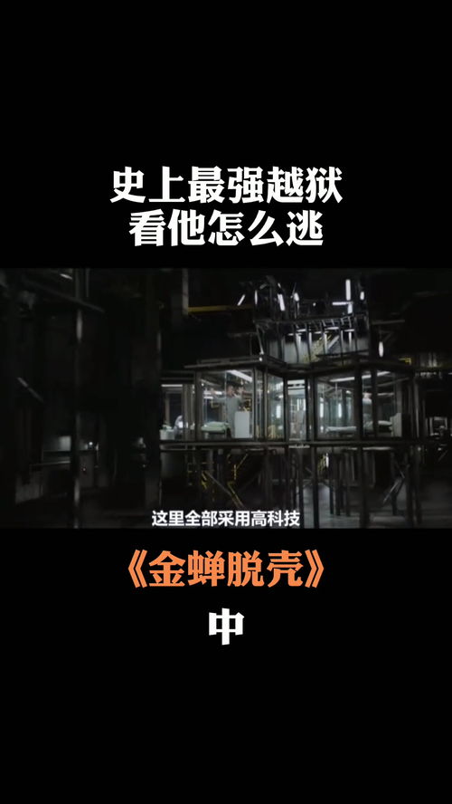 (金蝉脱壳room2报纸记号)金蝉脱壳报纸记号:历史的褪色,传承的力量 (金蝉脱壳room2报纸记号)金蝉脱壳报纸记号:历史的褪色,传承的力量