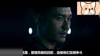 (金蝉脱壳room2报纸记号)金蝉脱壳报纸记号:历史的褪色,传承的力量 (金蝉脱壳room2报纸记号)金蝉脱壳报纸记号:历史的褪色,传承的力量