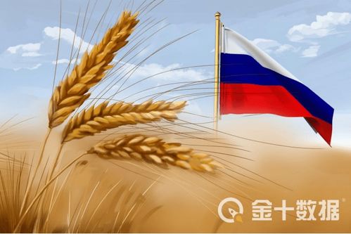 (临界指令是哪个公司的)关于临界指令的最新消息:何时正式上线及其对行业的影响分析 (临界指令是哪个公司的)关于临界指令的最新消息:何时正式上线及其对行业的影响分析