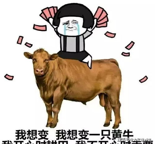 (愤怒的黄牛2019 电影)202"愤怒的黄牛:2021年最新电影大片现已上映,别错过! (愤怒的黄牛2019 电影)202"愤怒的黄牛:2021年最新电影大片现已上映,别错过!