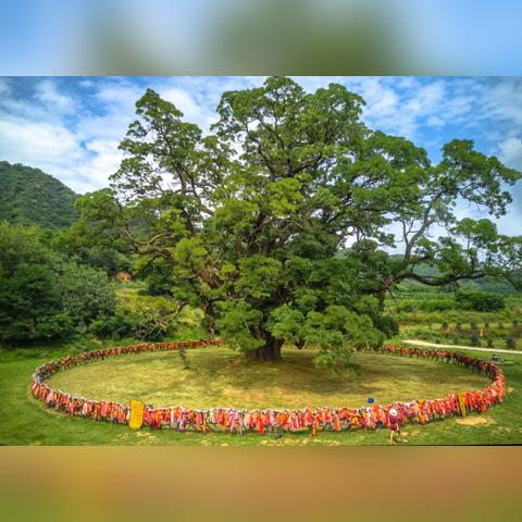 (300英雄ui)300英雄三千院攻略:打造最强阵容,征战九州,称霸三千界!