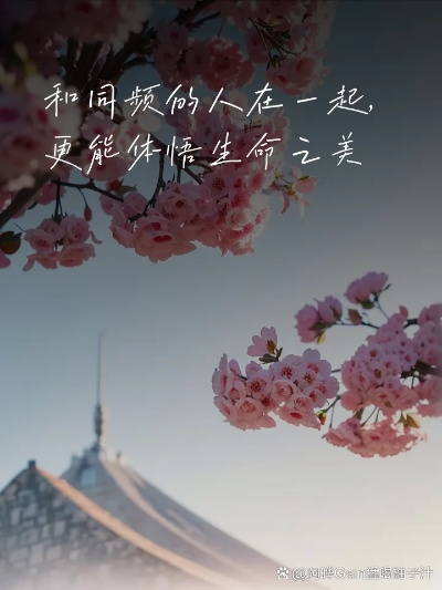 (当命运让我们相遇)当命运交错:遇见幸福,温暖心房,细水长流,谱写幸福之歌 (当命运让我们相遇)当命运交错:遇见幸福,温暖心房,细水长流,谱写幸福之歌