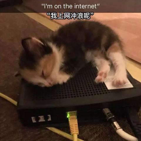 挑战极限:巨龙城堡二周目面临櫆寄生武器恶魔,勇者究竟能否彻底终结它的统治?