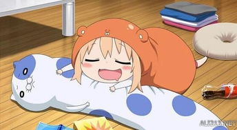 (小仓鼠 美女)小狮子仓鼠美少女:可爱的宠物组合,又顽皮又迷人。 (小仓鼠 美女)小狮子仓鼠美少女:可爱的宠物组合,又顽皮又迷人。