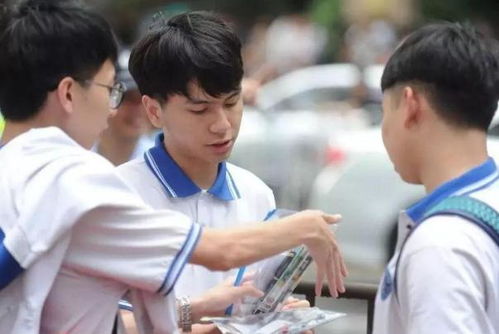 (美好世界找东西)揭秘将带你进入美好世界的攻略：如何寻找幸福与快乐之路