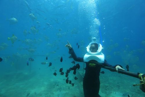 (深海潜水冒险)探寻深海秘境：潜水探险的乐趣